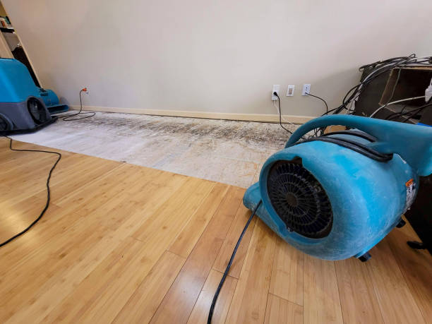 Professional Burst Pipe Water Damage technician working in Saint Charles, IL